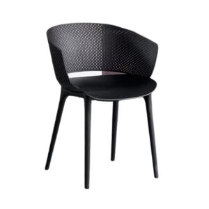 Black Plastic Designer Chair