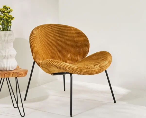 Sunbloom Cozy Chair - Image 2